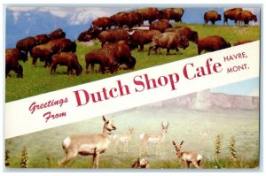 c1950's Greetings from Dutch Shop Cafe Havre MT Animal Multiview Postcard