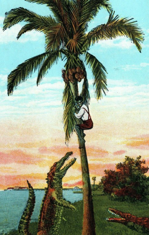 Honey Come Down I'm Waiting For You in Floriday Man In Palm Tree Alligators