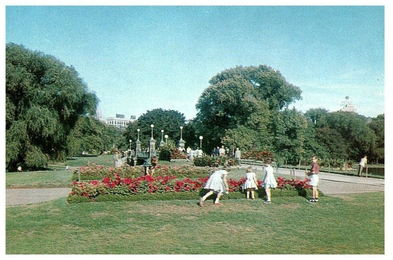 The Public Gardens Flower Displays Boston MA Postcard