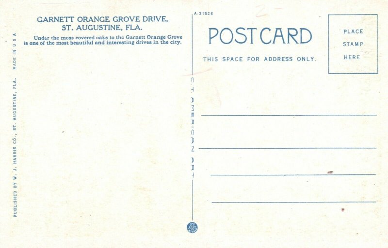 Vintage Postcard Garnett Orange Grove Drive St. Augustine Florida FL