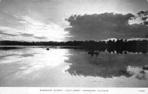 EVENING GLORY LILY LAKE MCHENRY ILLINOIS POSTCARD 1951