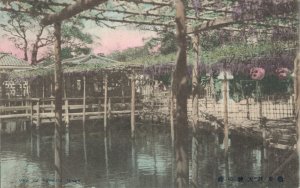 Japan View of Kameido Tenjin Tokyo Hand Colored Vintage Postcard 07.18