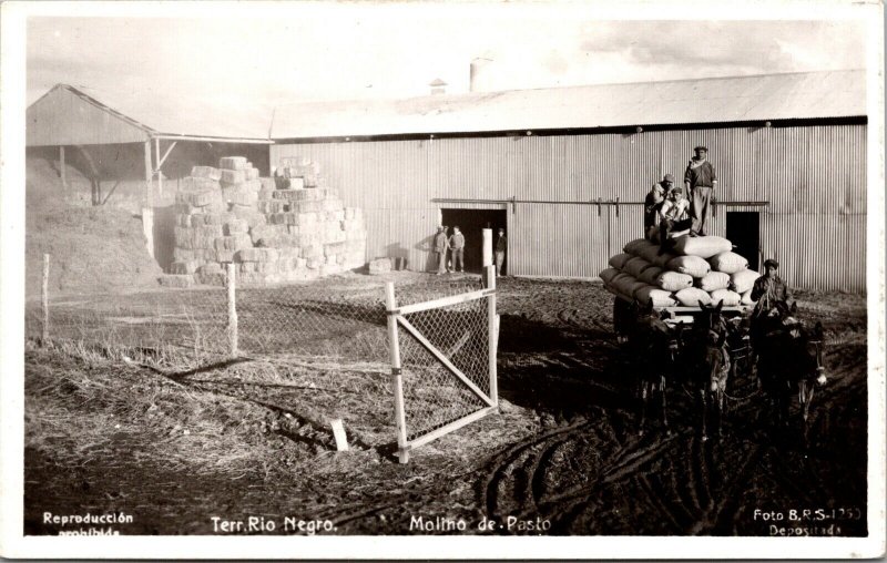 Real Photo Postcard Terr. Rio Negro Molino de Pasto Argentina~3639 