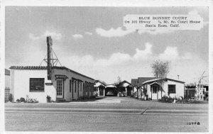 Blue Bonnet Court Motel US 101 Santa Rosa California 1940s postcard