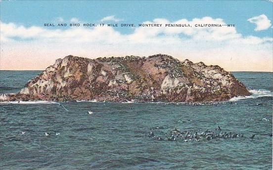 Seal And Bird Rock 17 Mile Drive Monterey Peninsula California