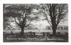 Michigan Mi Postcard c1950s DECATUR Real Photo RPPC Roadside Silhouette Fence