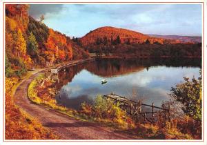 uk36818 loch arkaig inverness shire scotland uk lot 8 uk