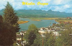 Wheeler Oregon Birdseye View Of City Vintage Postcard K77408 
