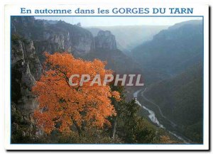 Postcard Modern Gorges du Tarn Lozere In autumn Eaves