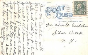 Pavilion Dunkirk, New York Postcard