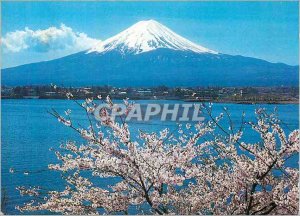 Postcard Modern Fuji and Cherry Blossoms The Symbols of Japan