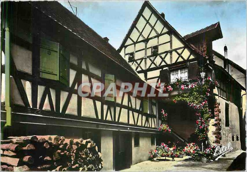 Modern Postcard In the Land of Storks Kayserberg (Haut Rhin) In the courtyard...