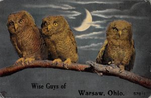 Wise Guys, Owls Warsaw, Ohio OH