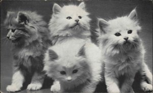 Fluffy Cats Kittens SOHIO MOTOR OIL Advertising Postcard