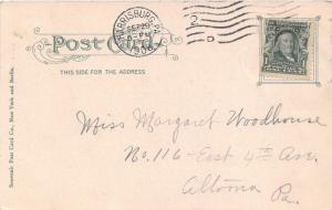 Harrisburg Pennsylvania~Mexican War Monument @ Capitol Park~1908 Postcard