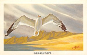 Utah state bird Bird Unused 