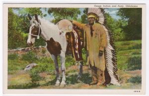 Osage Indian and Pony Native American Oklahoma linen postcard