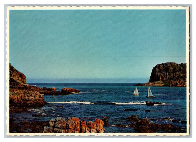 Postcard South Africa Gateway To The Blue Sail Boats Continental View Card 