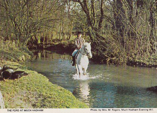 Much Hadham Horse Riding Jumping Herts Hertfordshire Race Galloping Postcard