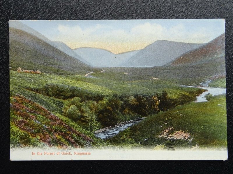 Scotland KINGUSSIE The Forest of Gaick - Old Postcard by J. Johnstone