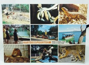 Hartbeespoortdam Snake Park Transvaal South Africa Vintage Multiview Postcard