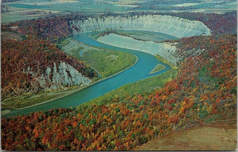 Gestionar State Park Castilla Nueva York NUEVA YORK aire Big Bend Otoño Follaje Postal Vintage 