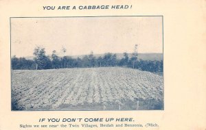 Beulah and Benzonia Michigan Cabbage Farm Vintage Postcard AA89474