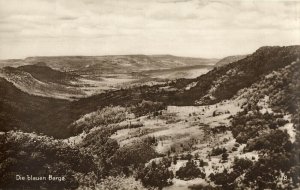 australia, NSW, The Blue Mountains, Trinks-Bildkarte No. 791/8