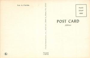 FLORIDA ALLIGATORS RATHER BITE THAN SWITCH BIKINI BATHING BEAUTY POSTCARD c1960s