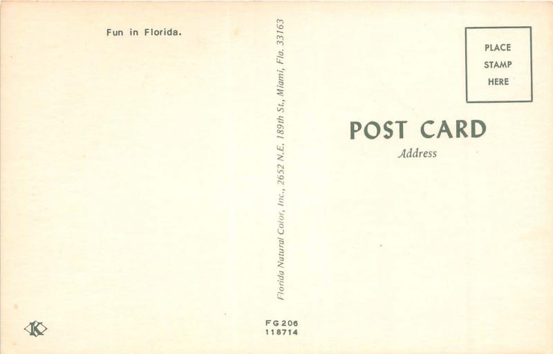 FLORIDA ALLIGATORS RATHER BITE THAN SWITCH BIKINI BATHING BEAUTY POSTCARD c1960s