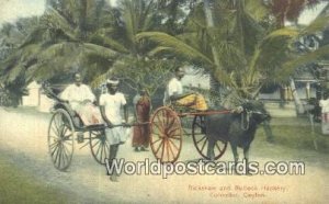 Rickshaw & Bullock Havkery Colombo Ceylon, Sri Lanka Unused 