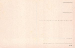 L264 Germany Magdeburg Dom Cathedral vintage postcard