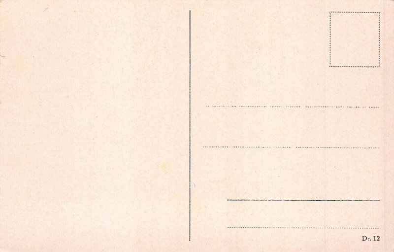 L264 Germany Magdeburg Dom Cathedral vintage postcard