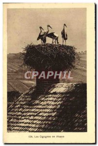 Old Postcard The Storks in Alsace