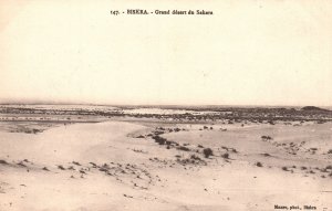 Vintage Postcard 1910's Biskra Grand Desert Du Sahara Desert in Africa
