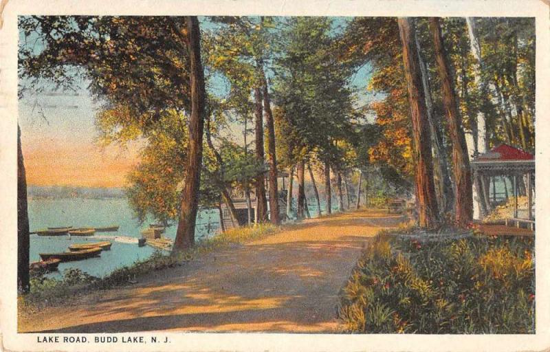 Budd Lake New Jersey Lake Road Antique Postcard J57774