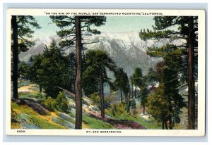 C. 1915 San Bernardino Mountains Big Bear Lake California Vintage Postcard F52