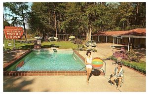 Tallahassee Motor Lodge Pool Beach Ball Old Cars  Vintage Postcard 1964