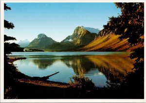 Bow Lake Icefield Parkway Alberta AB Unused Harmon Continental Postcard C10