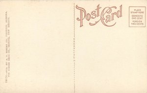 c1907 Postcard; Deming NM Little Vineyard Co. Artesian Well, Mimbres Valley