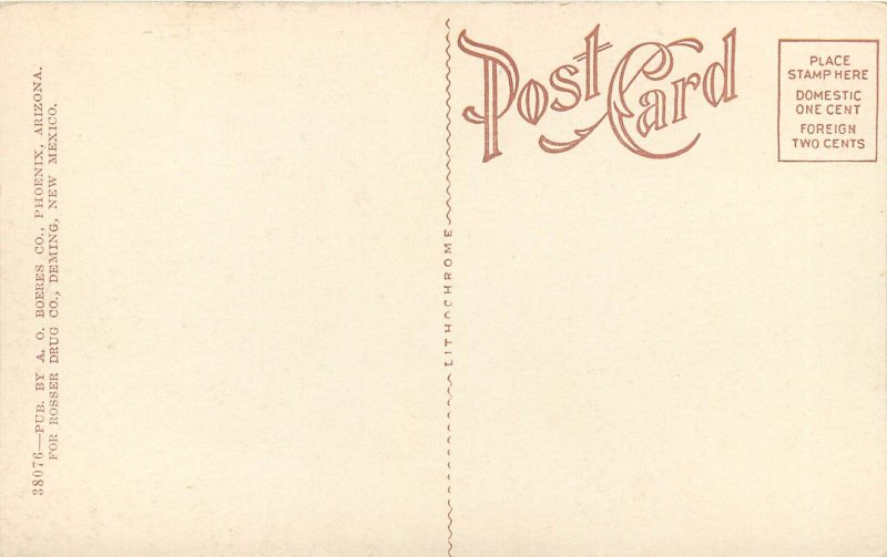 c1907 Postcard; Deming NM Little Vineyard Co. Artesian Well, Mimbres Valley