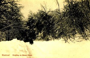 Canada - QC, Montreal. Mt. Royal. Sleighing