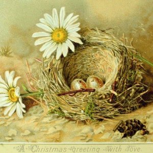 1870's-80's Lovely Christmas With love Eggs Nest Daisies Poem Victorian Card *X