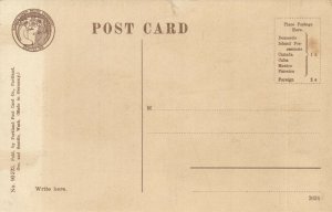 PC CPA US, ALASKA, OBLEUK, CAPE PRINCE OF WALES, Vintage Postcard (b24733)