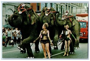 c1960's Elephants Parade Circus City Festival Peru Indiana IN Vintage Postcard 