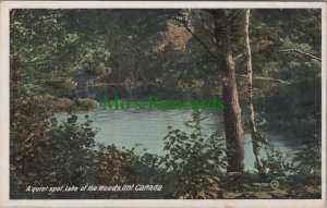 Canada Postcard - A Quiet Spot, Lake of The Woods, Ontario RS31805