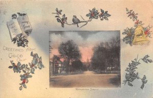 Chico California Residence Street, In Border, Hand Colored Vintage PC U13812