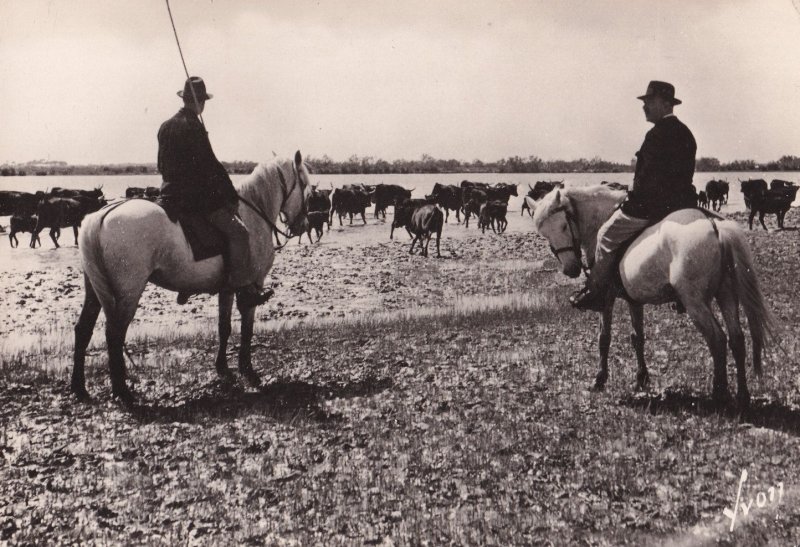 Menade Camargue French Cattle Herder Real Photo Postcard