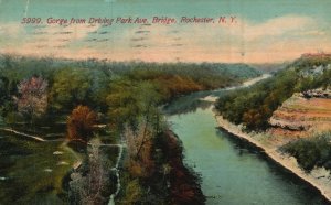 Vintage Postcard 1914 Gorge From Diving Park Avenue Bridge Rochester New York NY