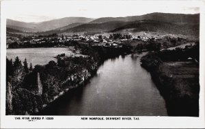 Australia New Norfolk Derwent River Tasmania Vintage RPPC C059